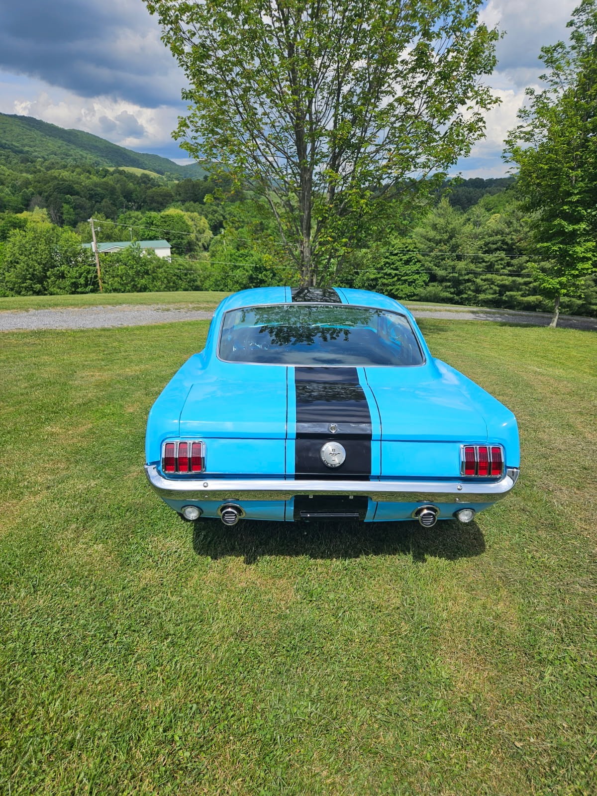Ford-Mustang-1965-Fastback-7