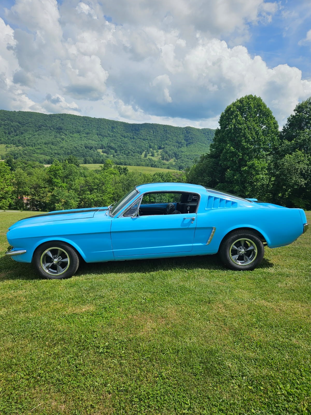 Ford Mustang 1965 Fastback
