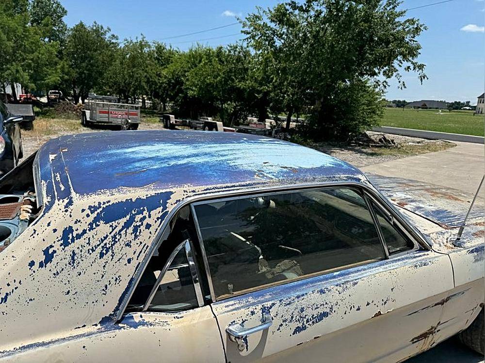 Ford-Mustang-1965-blue-23