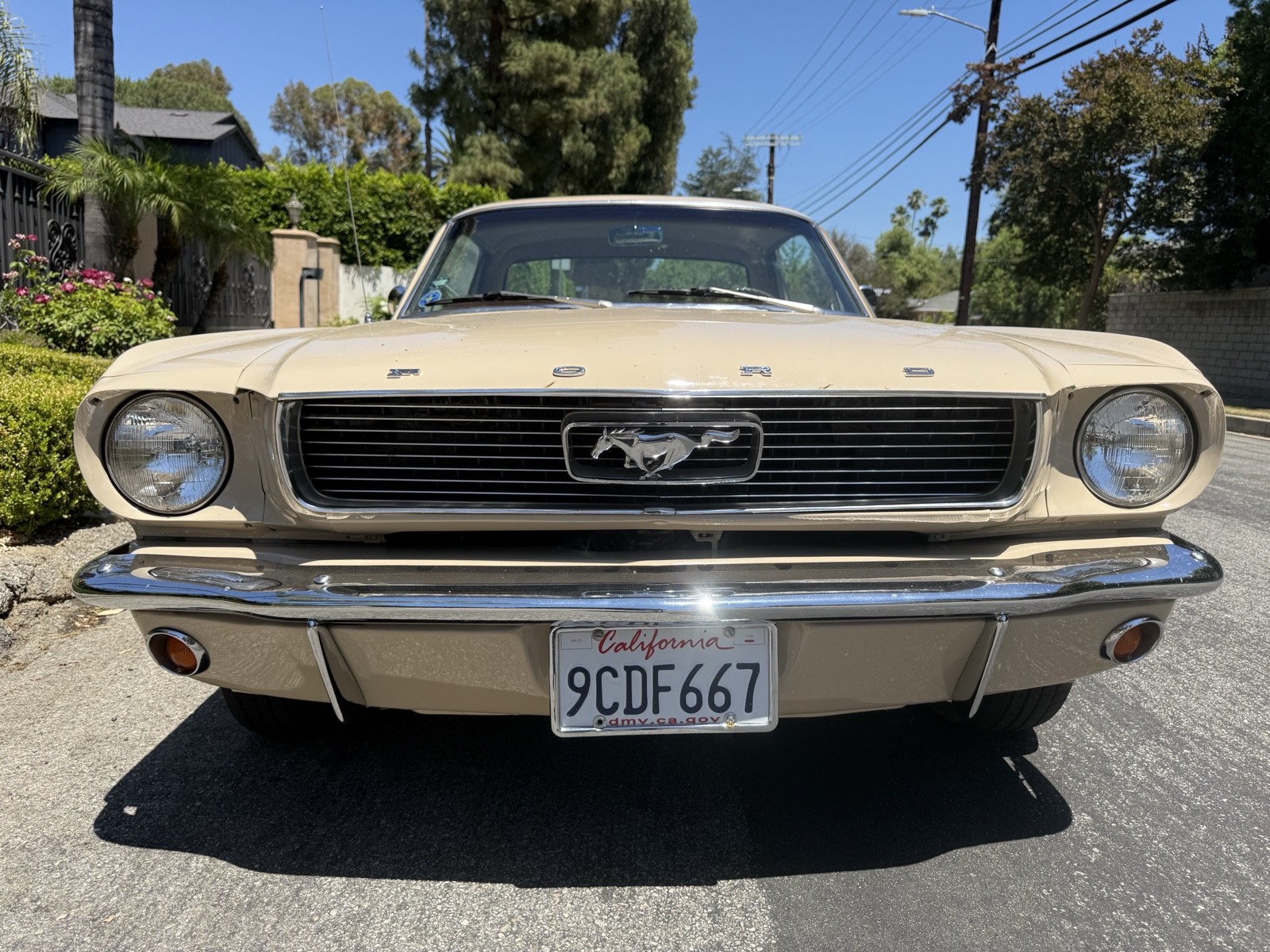 Ford-Mustang-1966-1