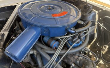 Ford-Mustang-1966-18