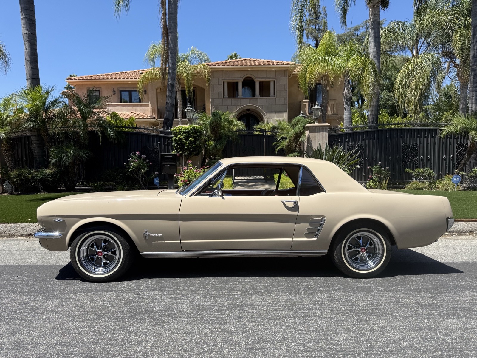 Ford-Mustang-1966-2