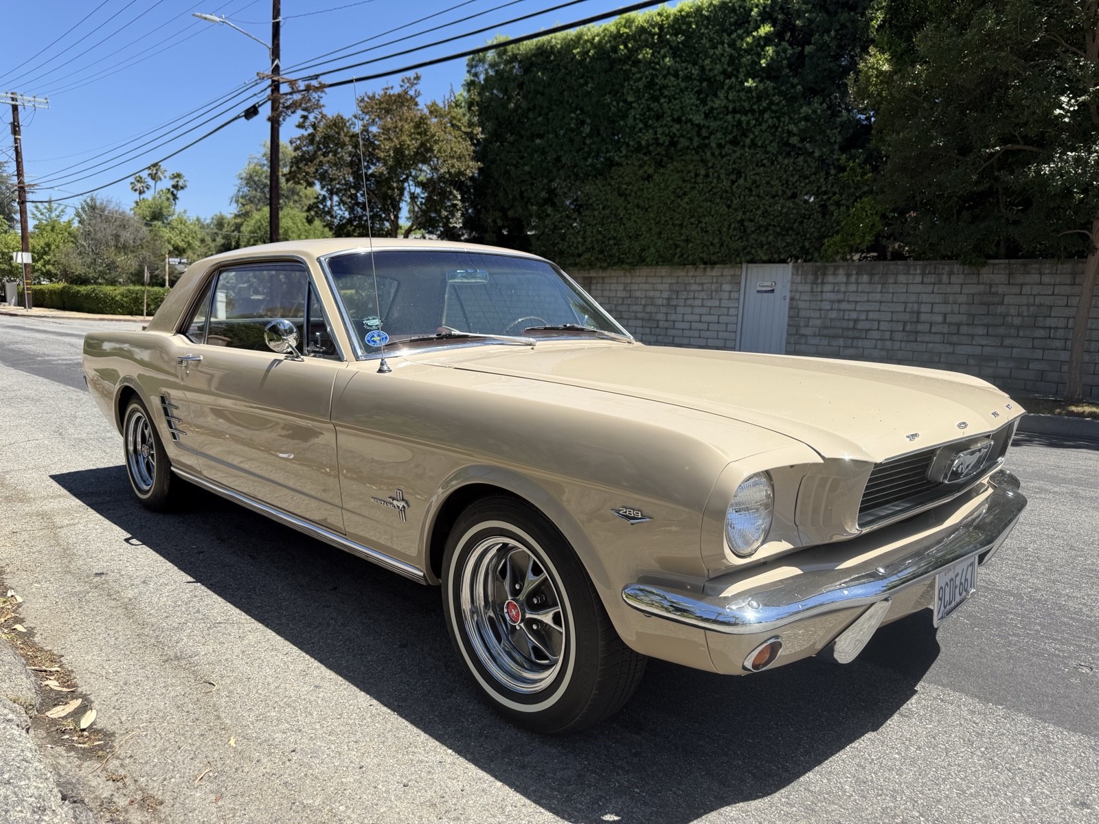 Ford-Mustang-1966