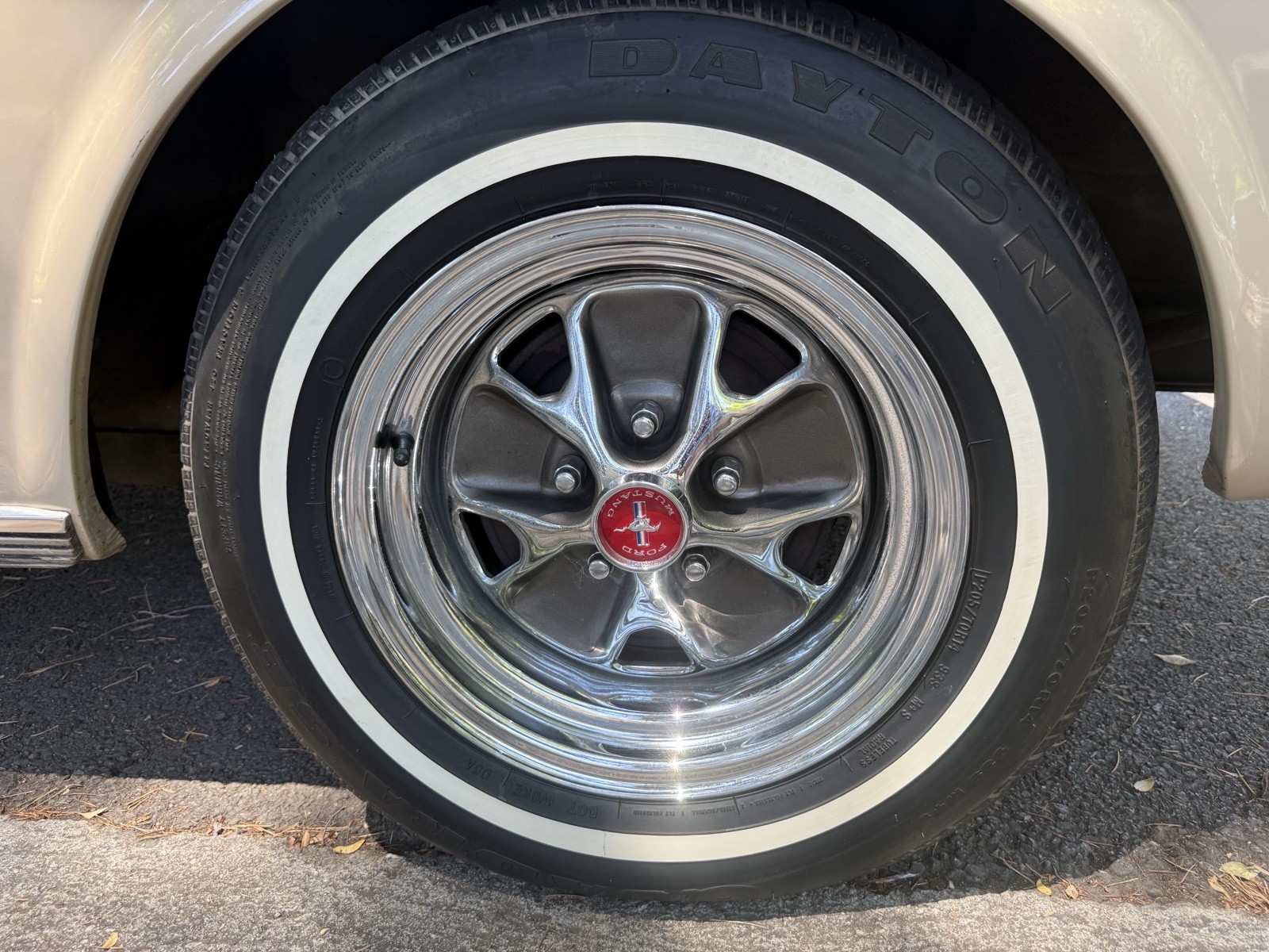 Ford-Mustang-1966-6
