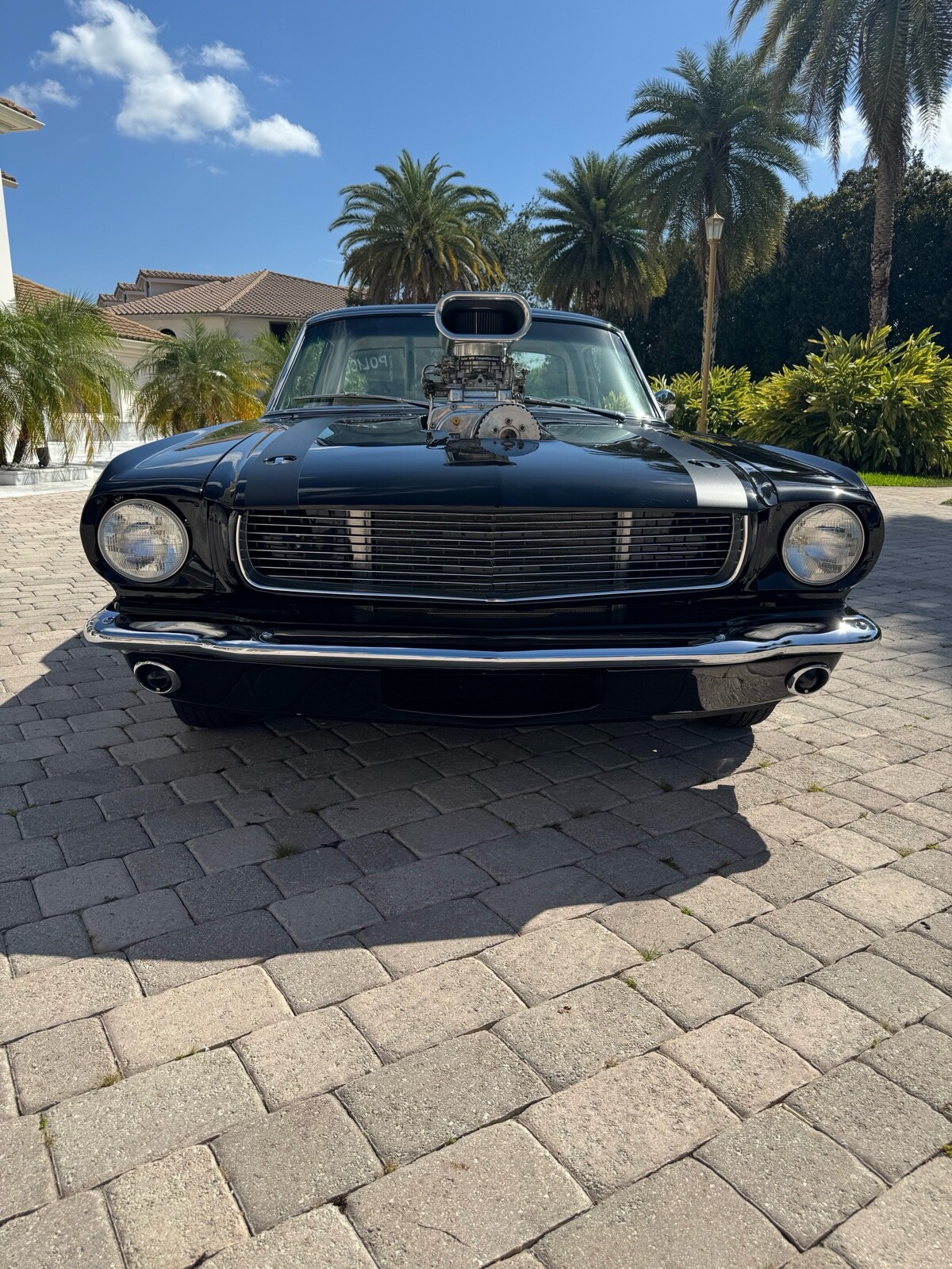Ford-Mustang-1966-Coupe-15