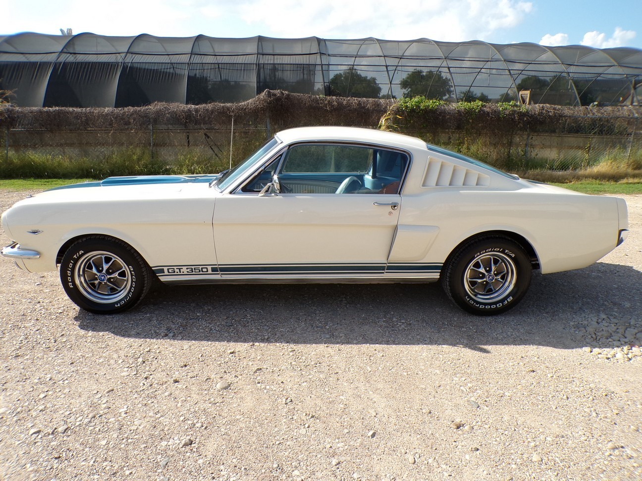 Ford-Mustang-1966-Fastback-1