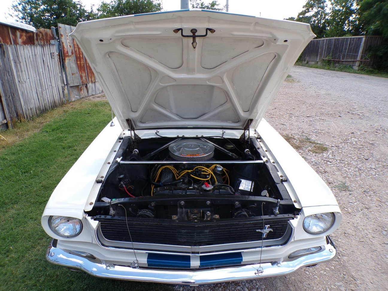Ford-Mustang-1966-Fastback-8