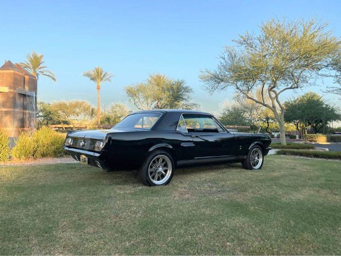 Ford-Mustang-1966-Raven-Gloss-BlackSi-1