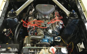 Ford-Mustang-1966-Spring-Time-Yellow-Black-1