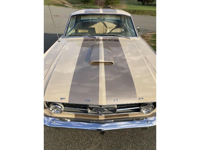 Ford-Mustang-1966-Two-Tone-Deluxe-Pony-20