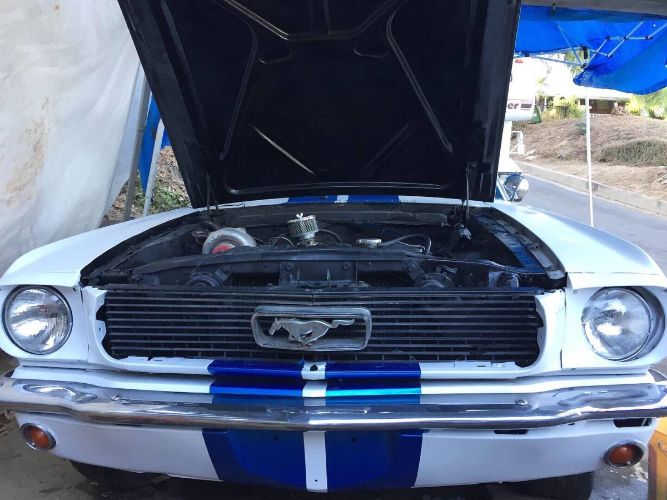 Ford-Mustang-1966-White-2