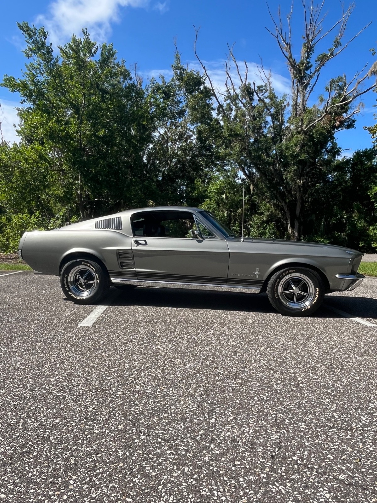 Ford Mustang 1967 Fastback