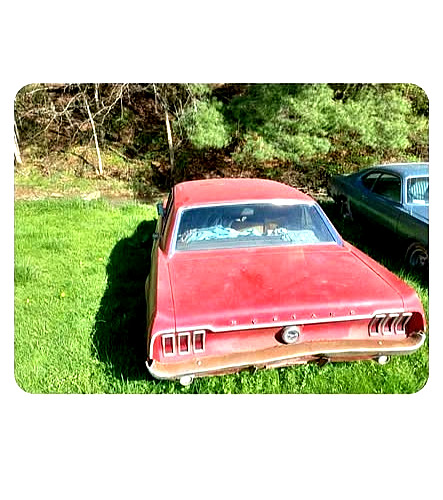 Ford-Mustang-1968-Coupe-2