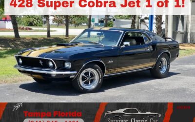 Ford Mustang 1969 Other