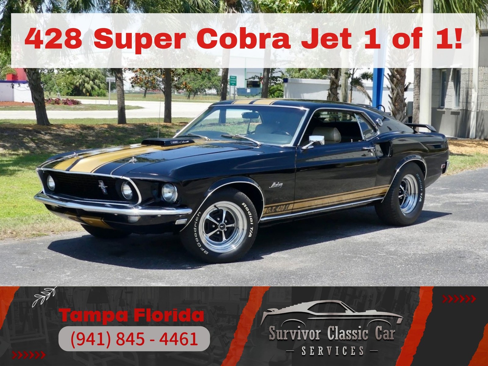 Ford Mustang 1969 Other