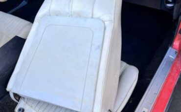 Ford-Mustang-1970-Calypso-CoralWhite-White-Knit-Vinyl-Del-10