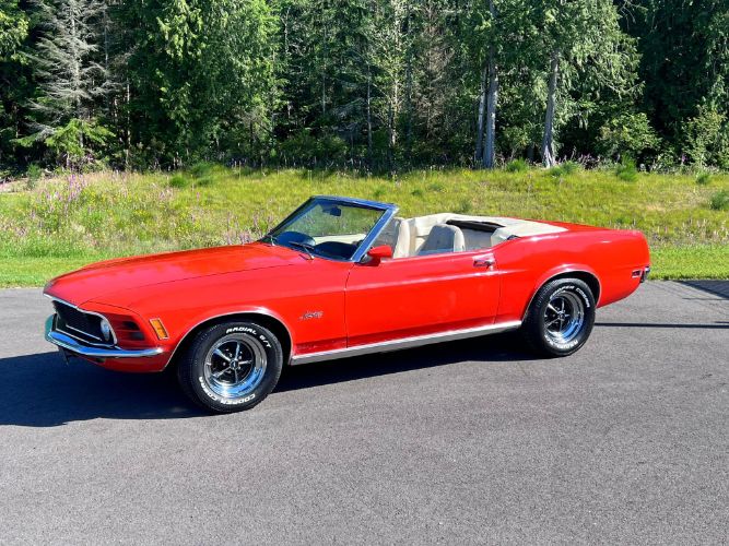Ford-Mustang-1970-Calypso-CoralWhite-White-Knit-Vinyl-Del-27