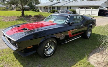 Ford-Mustang-1971-Fastback-13