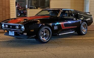 Ford-Mustang-1971-Fastback-18