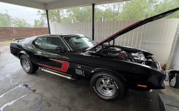 Ford-Mustang-1971-Fastback-7