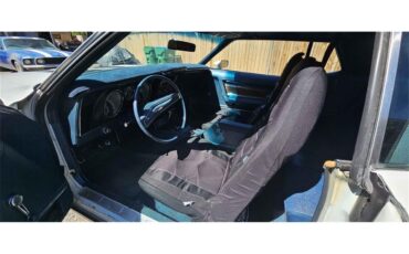 Ford-Mustang-1971-White-Blue-6