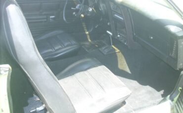 Ford-Mustang-1971-green-14