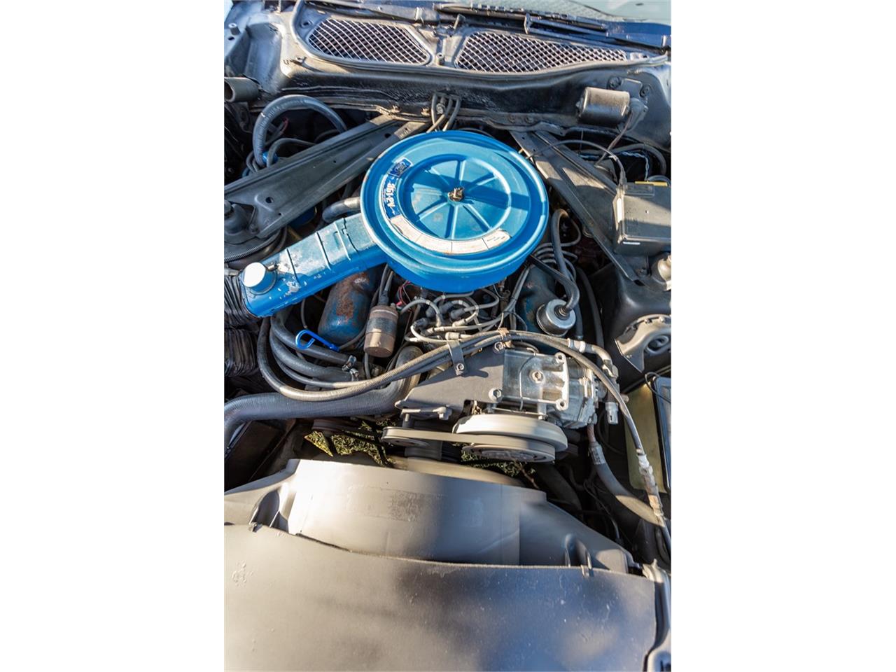 Ford-Mustang-1973-Blue-WhiteBlack-8
