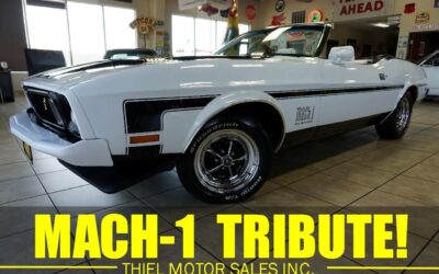 Ford Mustang 1973 Classic Car