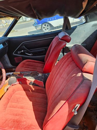 Ford-Mustang-1978-Burgundy-14