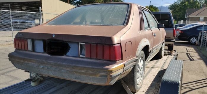 Ford-Mustang-1979-Brown-Brown-1