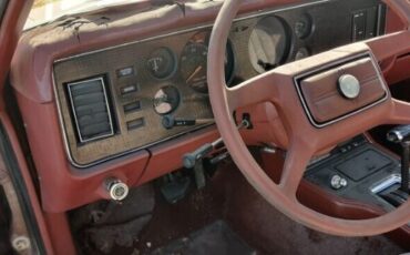 Ford-Mustang-1979-Brown-Brown-2