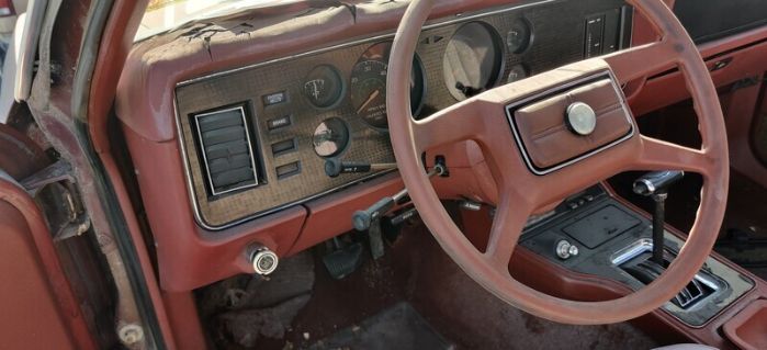 Ford-Mustang-1979-Brown-Brown-2
