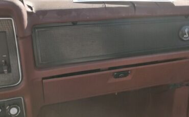 Ford-Mustang-1979-Brown-Brown-5