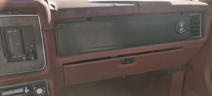Ford-Mustang-1979-Brown-Brown-5
