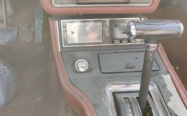 Ford-Mustang-1979-Brown-Brown-7