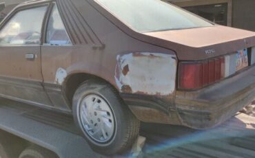 Ford-Mustang-1979-Brown-Brown-8