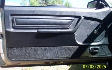 Ford-Mustang-1979-Fastback-10