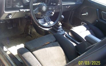 Ford-Mustang-1979-Fastback-15