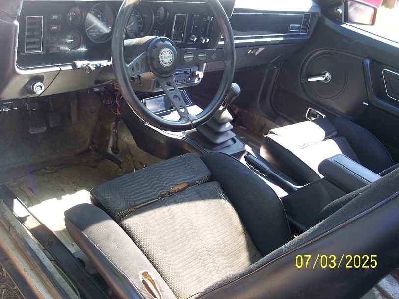Ford-Mustang-1979-Fastback-15