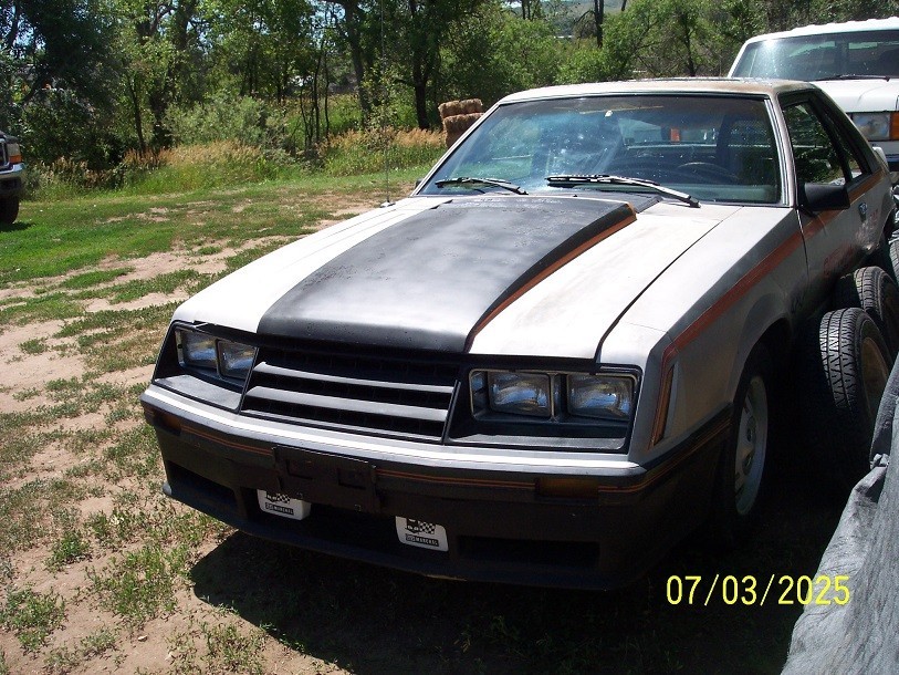 Ford-Mustang-1979-Fastback-3