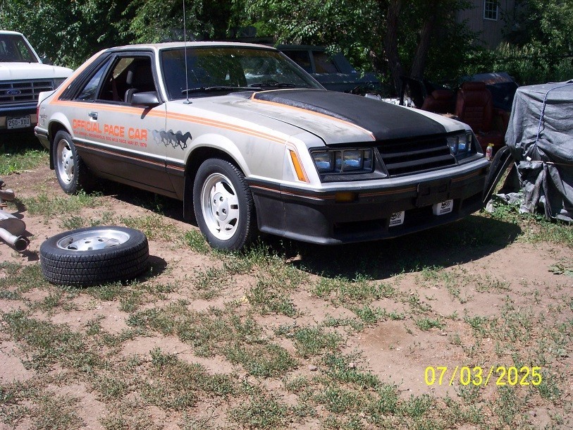 Ford-Mustang-1979-Fastback-5