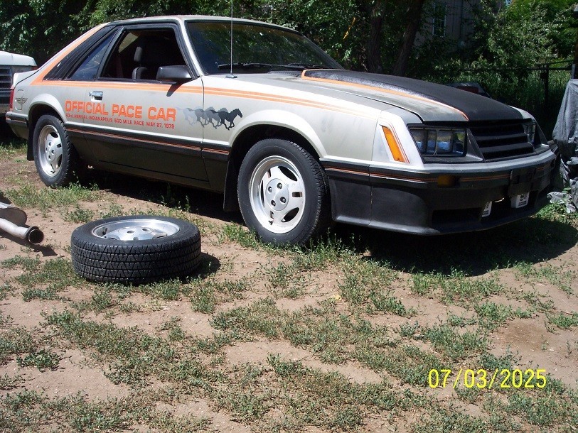 Ford-Mustang-1979-Fastback-6