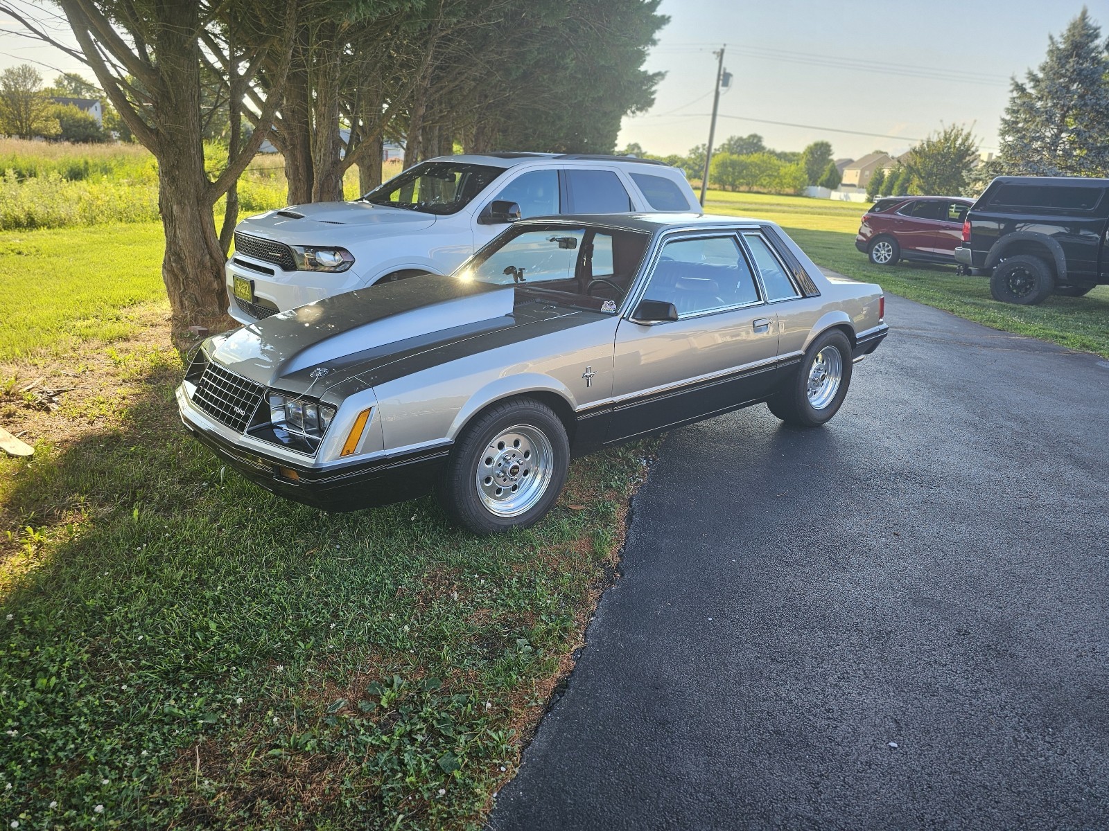 Ford-Mustang-1980-14