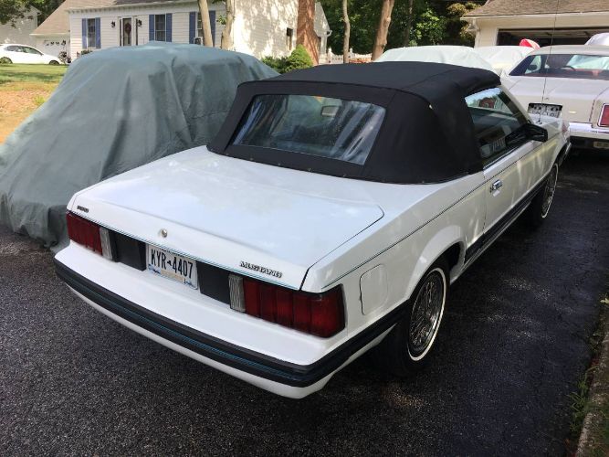 Ford-Mustang-1980-White-Blue-11