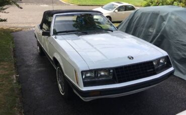 Ford-Mustang-1980-White-Blue-2
