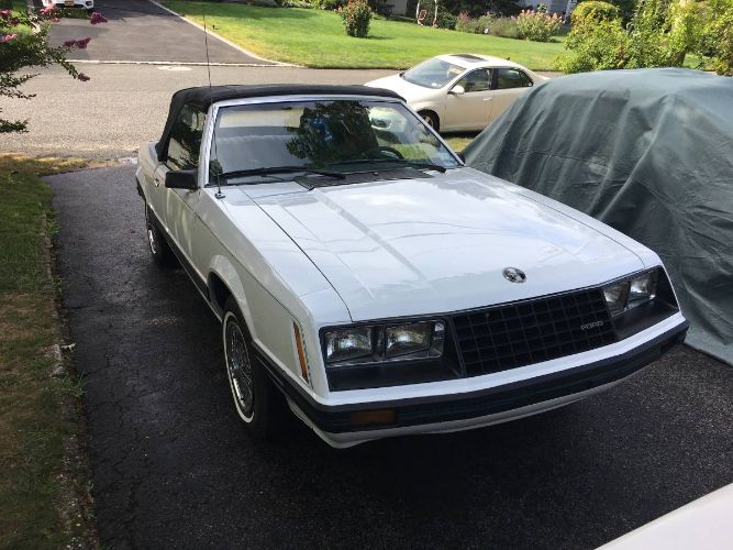 Ford-Mustang-1980-White-Blue-2
