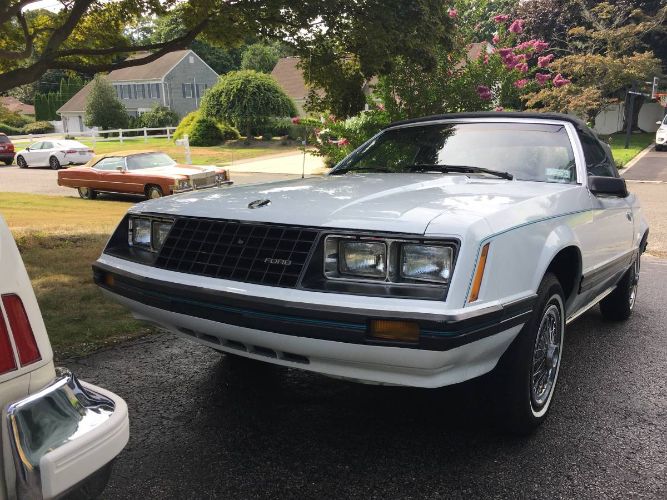 Ford-Mustang-1980-White-Blue-5