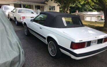 Ford-Mustang-1980-White-Blue-8