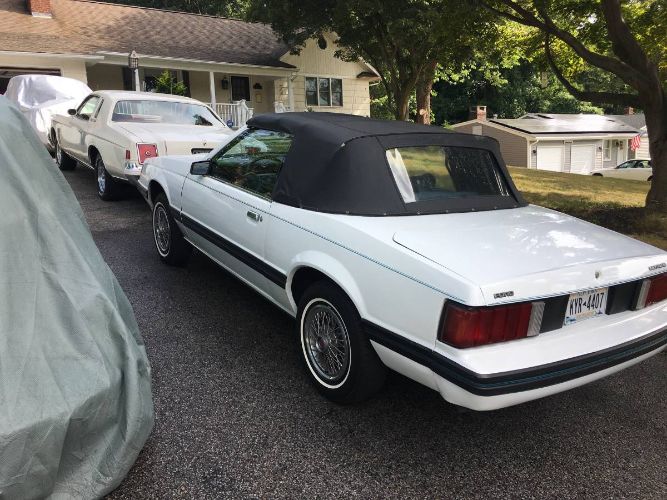 Ford-Mustang-1980-White-Blue-8
