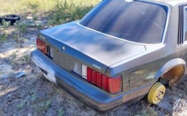 Ford-Mustang-1981-Gray-off-White-1
